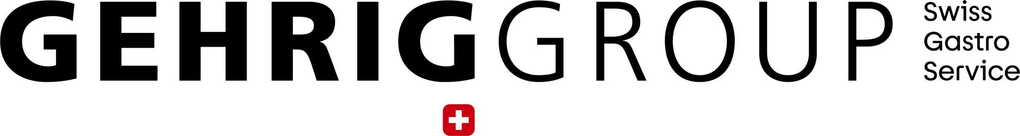 Gehrig_Group_mit_Zusatz_RGB