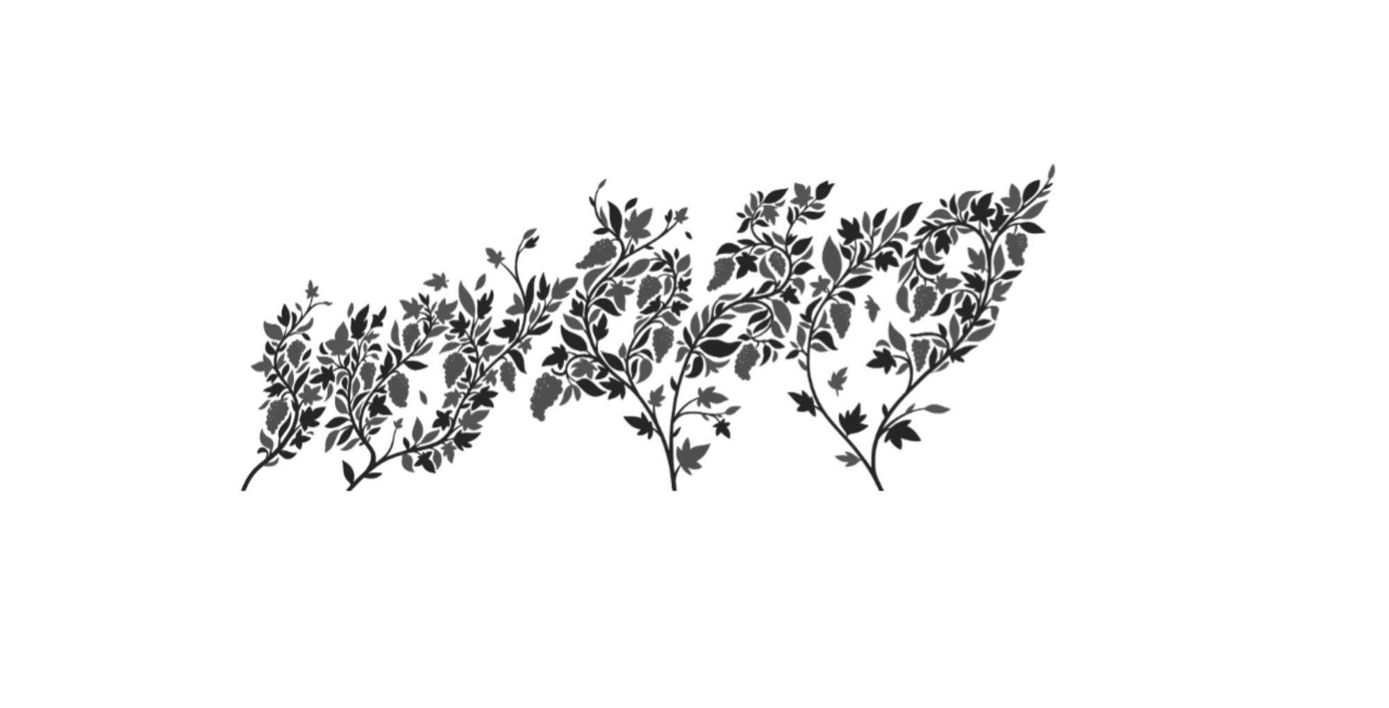 wybärg Logo