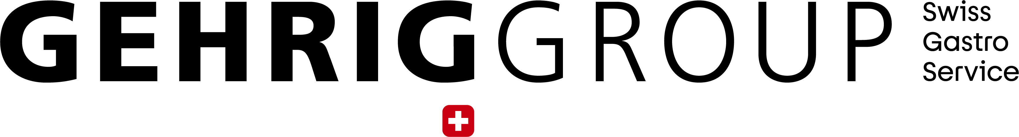Gehrig_Group_mit_Zusatz_RGB